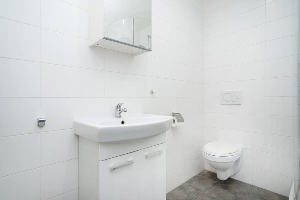 Bright, Spacious Apartment In The Historic Centre Прага Екстериор снимка